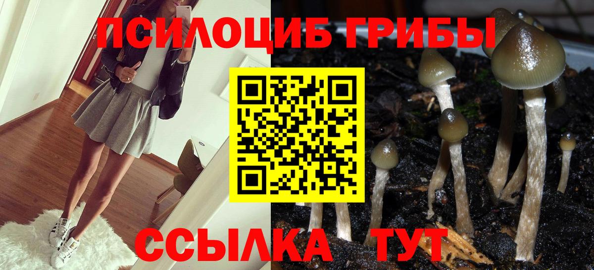 Псилоцибиновые грибы ЛСД Острогожск
